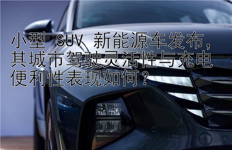 小型 SUV 新能源车发布，其城市驾驶灵活性与充电便利性表现如何？