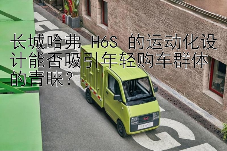 长城哈弗 H6S 的运动化设计能否吸引年轻购车群体的青睐？