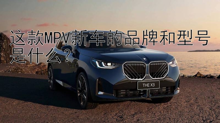 这款MPV新车的品牌和型号是什么？