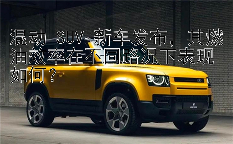 混动 SUV 新车发布，其燃油效率在不同路况下表现如何？