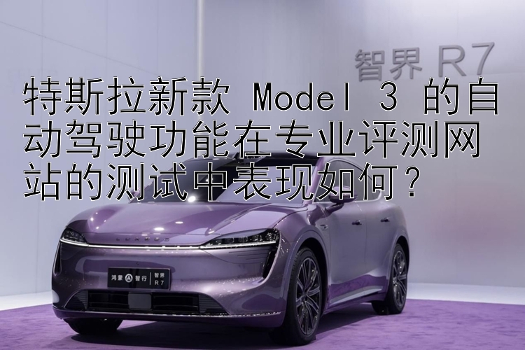 特斯拉新款 Model 3 的自动驾驶功能在专业评测网站的测试中表现如何？