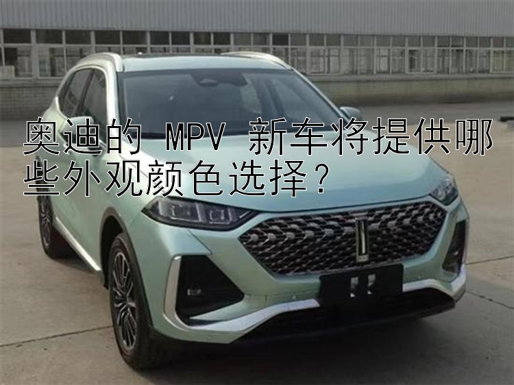 奥迪的 MPV 新车将提供哪些外观颜色选择？