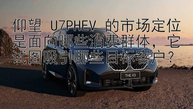 仰望 U7PHEV 的市场定位是面向哪些消费群体，它试图吸引哪些目标客户？